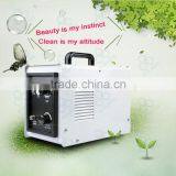 Hot sales portable air cooling 5g/h food ozone generator manufacturer 110V 220V