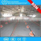 Automatic Chickens Pan Feeding System for Chicken Farms / Low Cost Broiler Chicken Feeding System for Sale thumbnail-4