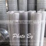 2x2 Galvanized Wire Mesh thumbnail-4