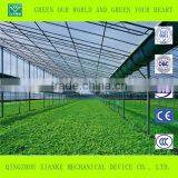 Single-Span Sunlight Seeding Greenhouse in China thumbnail-3