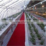 Hydroponics Growing Equipment for Sale thumbnail-2