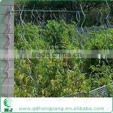 Metal Plant Support Stake for Tomato Cage 6feets thumbnail-4