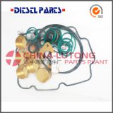 Injection Pump Repair Kit 2 417 010 045/800584 Engine Pump Rebulid kit for sell from China