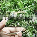 Clear Acrylic Laser Cut Shapes Circular Disc thumbnail-6