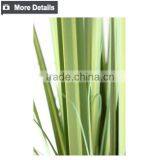 Popular Artificial Grass in Pots Garden Grass Artificial Onion Grass thumbnail-3