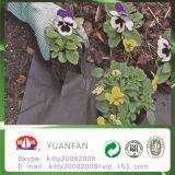 Agriculture UV Treated 100% pp Spunbond Agriculture Black Plastic Film thumbnail-2