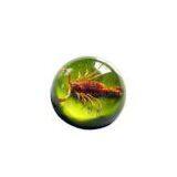 Real Insect Amber Paperweights For Gift (crafts,gifts,souvenir ,novelties,gift Promotion)