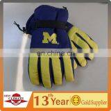 Waterproof Ski Gloves,ski Gloves thumbnail-1