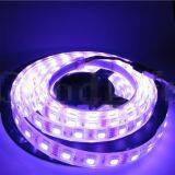 IP68 Waterproof 5050 LED Strip,12V 60LED/M White Warm White RGB,Use Underwater for Swimming Pool,Fish Tank,Bathroom thumbnail-3