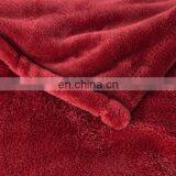 Tex-cel OEM100% Polyester Microfiber Super Soft Worm Touch Solid Flannel Fleece Blanket thumbnail-4