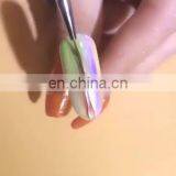 Queen Shining Nail Art Tools To Draw a Thin Line Wire Painting Pen thumbnail-1