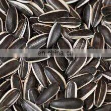 Factory Supply New Harvest Roasted Sunflower Seed With Market Price And High Quality for us thumbnail-5