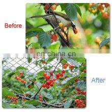 Fabrication de filet anti-oiseaux en HDPE vierge de 20 g/m², de 0,7 pouces, avec protection UV, vert, pour étangs à poissons et arbres fruitiers thumbnail-5