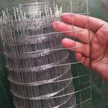 Electric Galvanized Welded Wire Mesh Rolls Square Hole 1/4