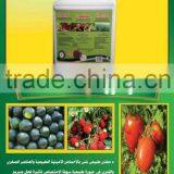 Tuta Absoluta FATTAK2 thumbnail-3