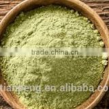 Wasabi powder export worldwide with competetive price and excellent quality