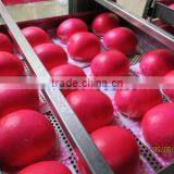 TY-812 Automatic Bun Making Machine thumbnail-3