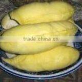 BEST PRICE VIETNAM FROZEN DURIAN thumbnail-2