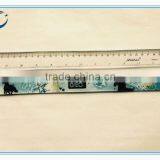 2015 Wholesale Cheap School Plastic Ruler Plastic Ruler 30cm With Logo Printing thumbnail-2