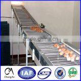 CE certificate energy-saving professional automatic egg collection system for poultry farm