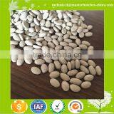 Moisture Absorber & Desiccant Masterbatch thumbnail-6
