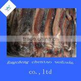 Frozen Squid Seafood Whole Squid Argentina