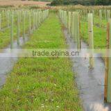 PP Woven Weed Mat/ground Cover /weed Barrier Mat for Agriculture thumbnail-2