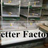 BT Factory High Quality Commercial Auto Manure Removal Machine (welcome to my Factory)