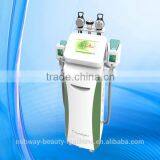 Cryolipolysis Cavitation Rf 3 In 1 Flabby Skin Body Slimming Fat Freeze Cryolipolysis Machine Zeltiq thumbnail-2