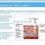 Skin Rejuvenation Hot Sales ! MIni Portable Home Skin Lifting HIFU Liposuction Fat Reduction Ultrasound Machines 2000 Shots thumbnail-6