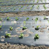 Cheap Garden PE Protective Mulch Film thumbnail-4