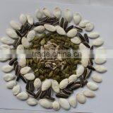Chinese Tasty Pumpkin Seeds/Shine Skin Seeds
