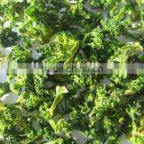 AD Broccoli thumbnail-2