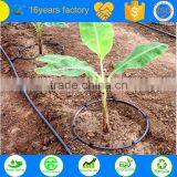 Saving Water Drip Irrigaion Line for Farm Irrigation System