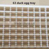 63 Pcs Duck Egg Tray