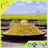2015 Authenic Fresh Rape Bee Pollen From QingHai Plateau For Prostate Disease
