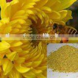 High Quality Bee Pollen Granules in Herbal Extract thumbnail-3