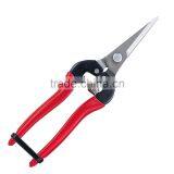 Stainless Steel Needle Nose Fruit Pruners thumbnail-1