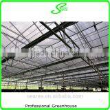 2014 Hot Sale Glass Greenhouse Used for Flower thumbnail-3