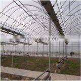 Factory Supply PVC Greenhouse Tent for Sale thumbnail-1