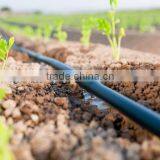 Drip Irrigation Pipe, Drip Inline Pipe, PE Irrigation Pipe thumbnail-1