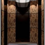 Luxury etching cabin passenger elevator