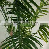 SJ300930 Fake Decorativeplastic Plam Plant Tree/Hawaii Kwai Tree Artifiical thumbnail-4