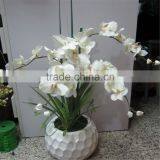 2017 GZ High Quality Colorful Plastic Flowers for Hotel Decoration Artificial Orchid for Sale thumbnail-1