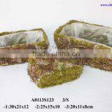 Moss Planter Square thumbnail-1