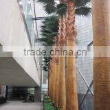 Artificial Different Kinds Of Washington Palm Trees Artificial Plants thumbnail-1