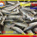 FROZEN W/R MARUADSI thumbnail-1