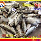 FROZEN W/R ROUND SCAD thumbnail-2