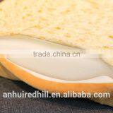 R1931H New Design Wholesale Soft Plush Pet Dog and Cat Mat Pet Bed With Bread Shape thumbnail-3