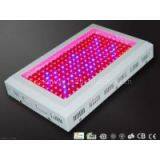 CE Approved High Power RCG200W/50/60 Hz LED Grow Plant Light for Greenhouse thumbnail-1